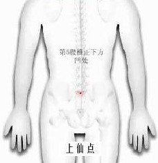 穴位圖