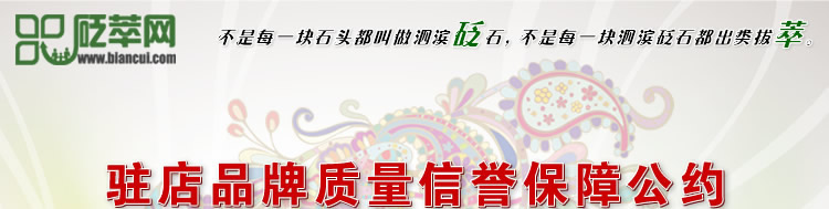 駐店品牌質(zhì)量信譽保障公約圖1