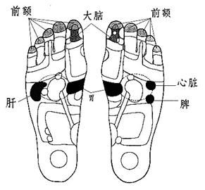 腳步反射區